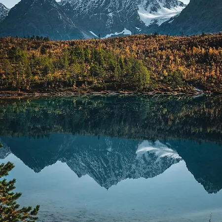 Lyngen Alps Panorama Tatil Evi *